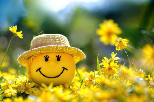 Happy, Joyful, or Just Surviving?